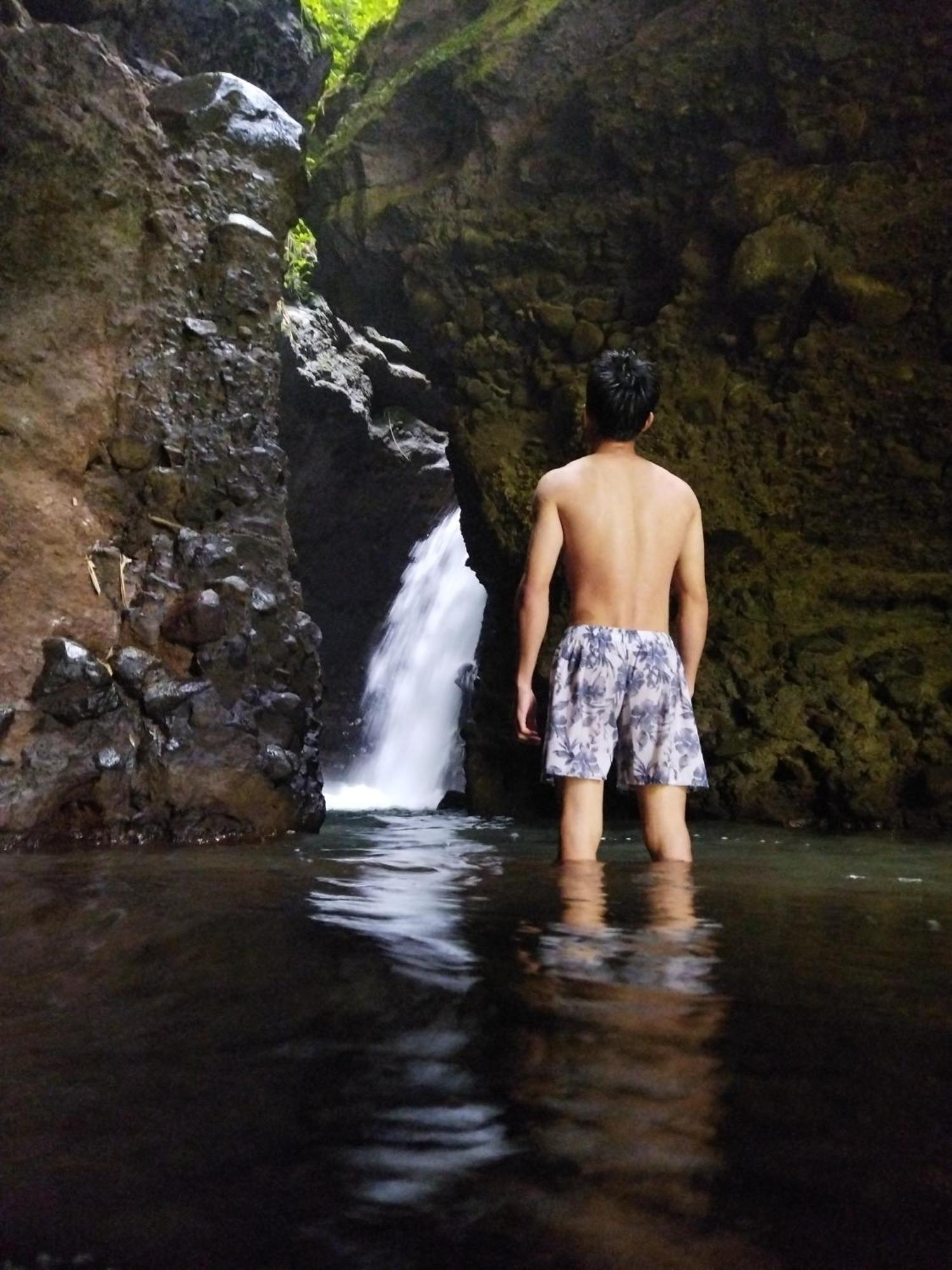 Goa Walet *