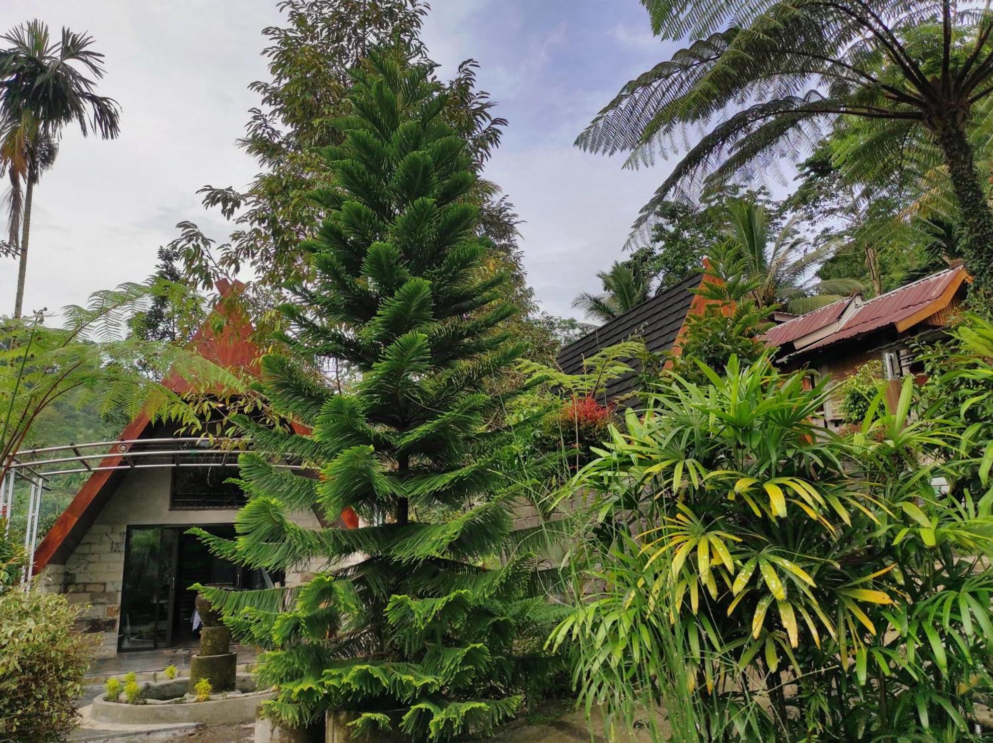 Goa Walet Praya