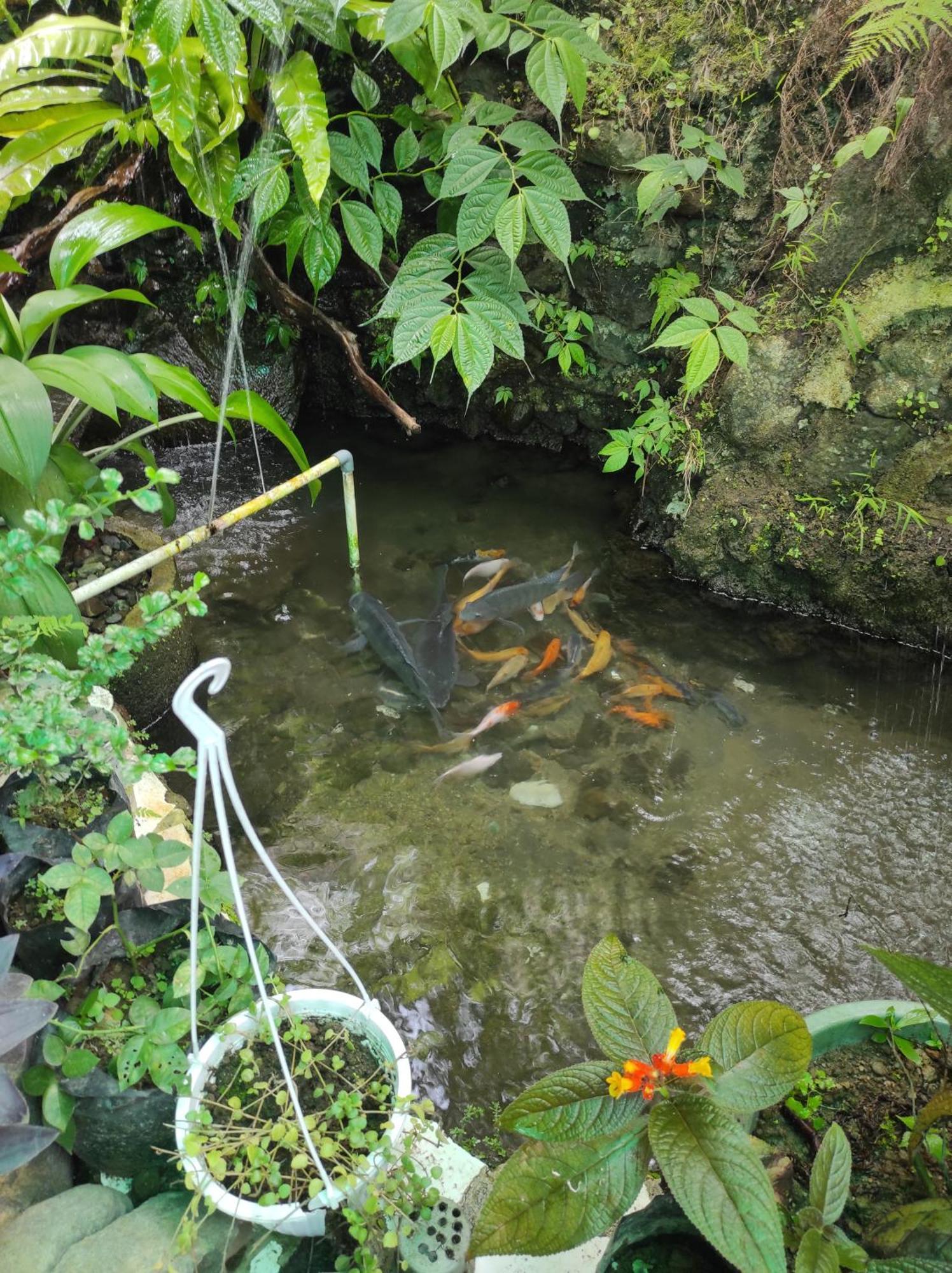 Goa Walet * Praya