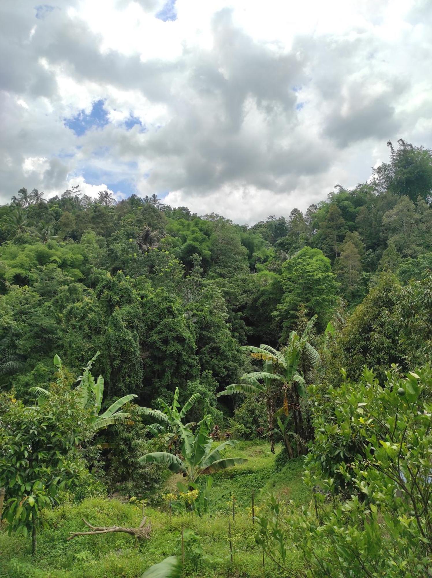Bed & Breakfast Goa Walet *